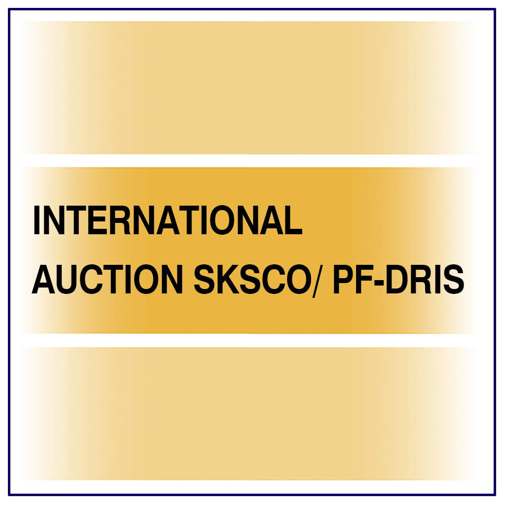 INTERNATIONAL AUCTION SKSCO/ PF-DRIS